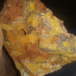 Meet your Posher, Glenn